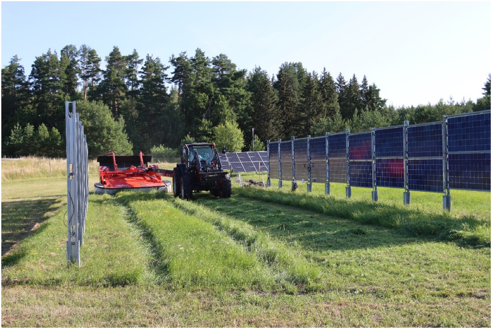 Pietro Elia Campana, Bengt Stridh, Torsten Hörndahl, Sven-Erik Svensson, Sebastian Zainali, Silvia Ma Lu, Tekai Eddine Khalil Zidane, Paolo De Luca, Stefano Amaducci, Michele Colauzzi,
Experimental results, integrated model validation, and economic aspects of agrivoltaic systems at northern latitudes,
Journal of Cleaner Production,
Volume 437,
2024,
140235,
ISSN 0959-6526,
https://doi.org/10.1016/j.jclepro.2023.140235.
