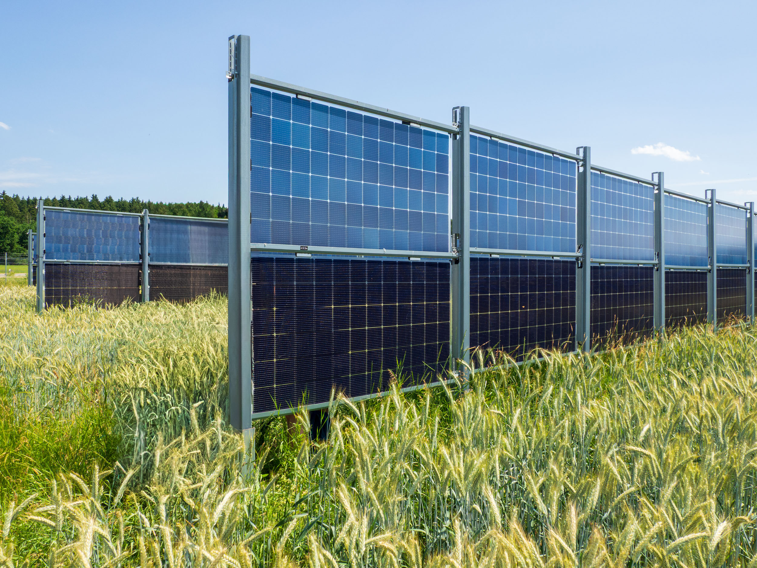 Donaueschingen – Aasen, Saksa 2025. Vuonna 2020 valmistunut vertikaali AgriPV järjestelmä. Ylärivissä bifacial paneelin takapuoli. Kuva Jari Mustonen.