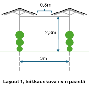 Kuva Teemu Heikkinen