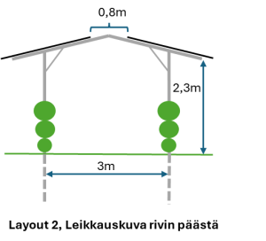 Kuva Teemu Heikkinen