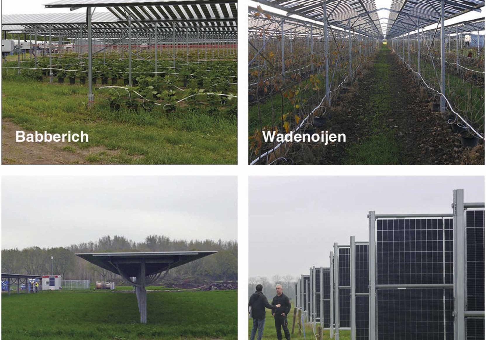 Igor Sirnik, Dirk Oudes, Sven Stremke,
Agrivoltaics and landscape change: First evidence from built cases in the Netherlands,
Land Use Policy,
Volume 140,
2024,
107099,
ISSN 0264-8377,
https://doi.org/10.1016/j.landusepol.2024.107099.
