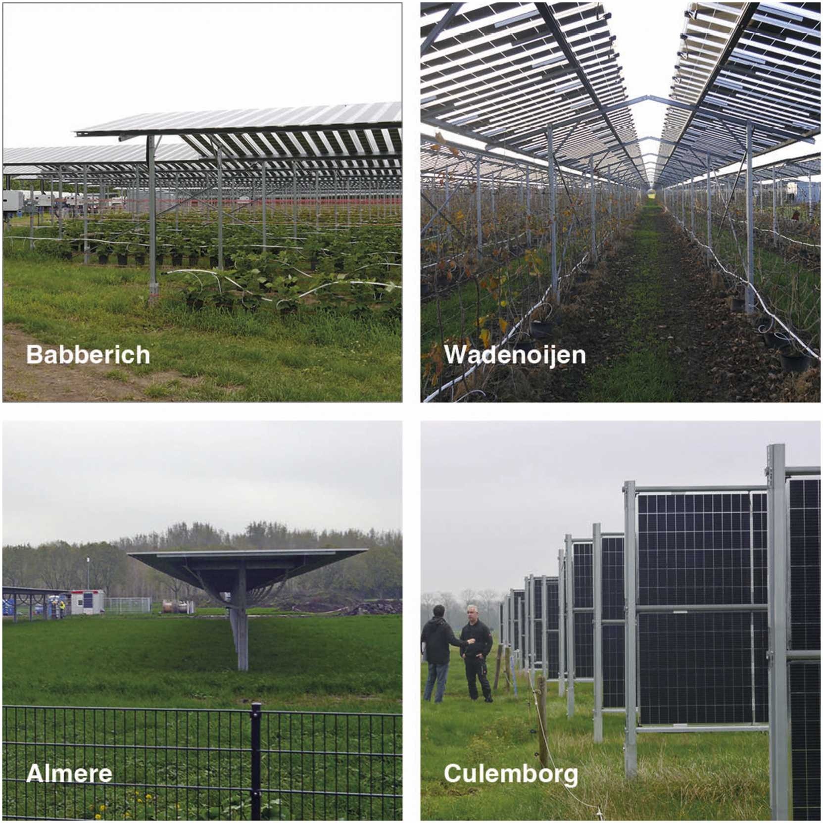 Igor Sirnik, Dirk Oudes, Sven Stremke,
Agrivoltaics and landscape change: First evidence from built cases in the Netherlands,
Land Use Policy,
Volume 140,
2024,
107099,
ISSN 0264-8377,
https://doi.org/10.1016/j.landusepol.2024.107099.
