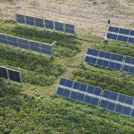 Lavaert, Cas & Willockx, Brecht & Cappelle, Jan. (2024). Influence of the Albedo on Agrivoltaics Electricity Production. AgriVoltaics Conference Proceedings. 2. 10.52825/agripv.v2i.993. 